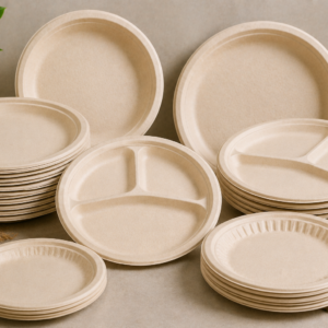Bagasse Plates